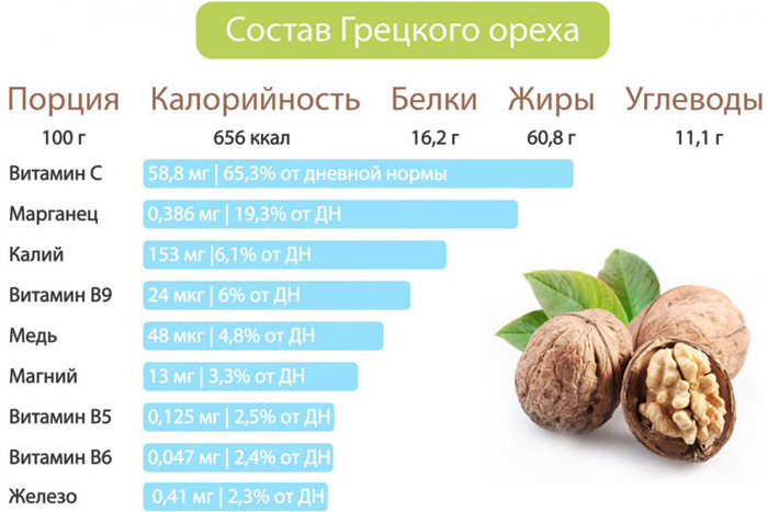 Грецький горіх (40 фото) - як виглядає дерево, вирощування, сорти, догляд