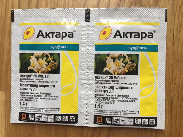 Як позбутися дротяника – 100% ефективні методи та засоби
