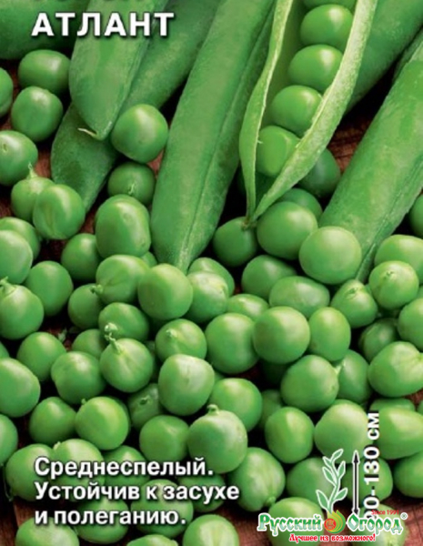 Види та сорти гороху з фото та описом