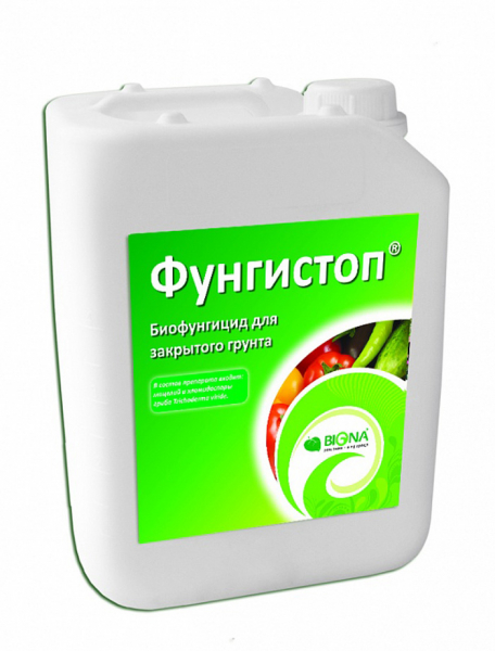 Що покласти в лунки при посадці капусти