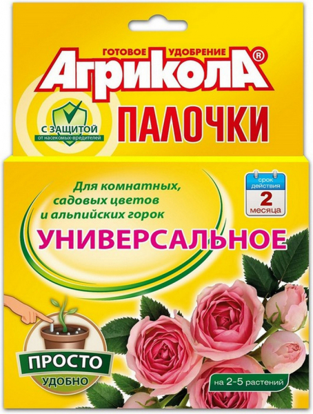 Настурція (85 фото): опис, види, способи розмноження, посадка та вирощування у відкритому ґрунті
