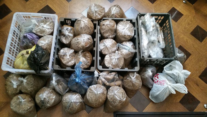 Як зберігати жоржини взимку в домашніх умовах: у льоху, у квартирі, на балконі
