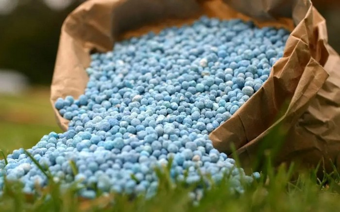Як позбутися моху: ТОП-7 засобів від моху на газоні та ділянці