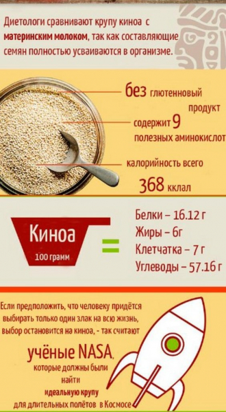 Крупа кіноа &ndash; що це? Від А до Я про кіноа: вирощування, користь, як готувати (30 фото)