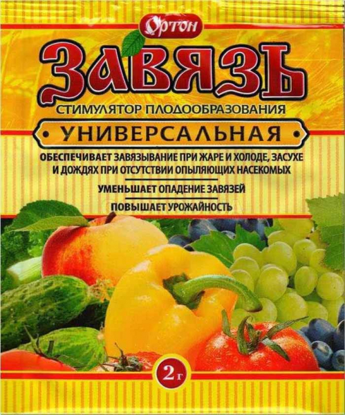 Пустоцвіт на огірках: причини і що робити?