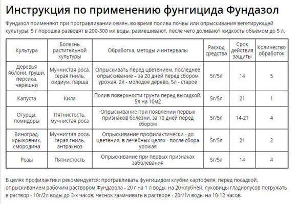 Чим обробити від борошнистої роси - ТОП-20 ефективних засобів