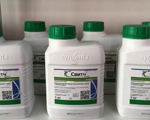 Фунгіцид Світч &mdash; інструкція із застосування та відгуки