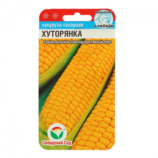 Сорти кукурудзи &ndash; 42 найкращі сорти кукурудзи 2024 з описом та фото
