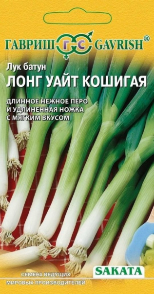 Лук-батун: коли і як висаджувати для багатого врожаю