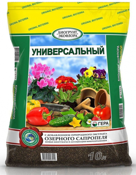 Герань або Пеларгонія (130 фото) — як правильно посадити та доглядати в домашніх умовах
