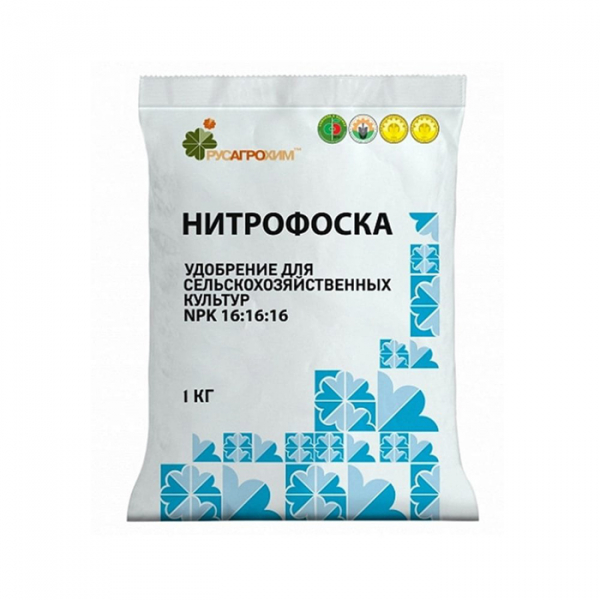 Томат Чорний принц: характеристика, опис сорту фото та відгуки