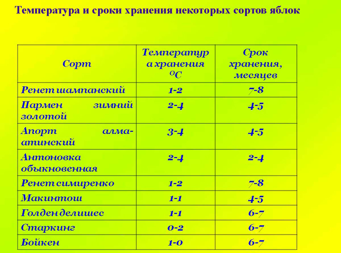 Зберігання яблук на зиму - як зберегти яблука до весни в домашніх умовах