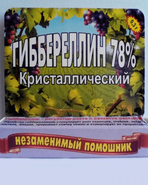 Крупнолиста гортензія (100 фото): опис, сорти, посадка та догляд
