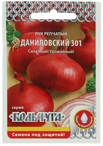 Посадка цибулі під зиму - яку цибулю садити, коли і як
