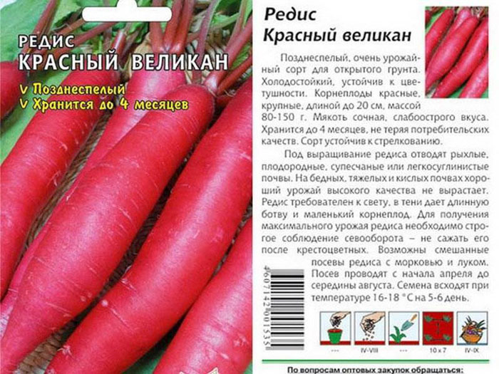 Як виростити редис у 2024 році