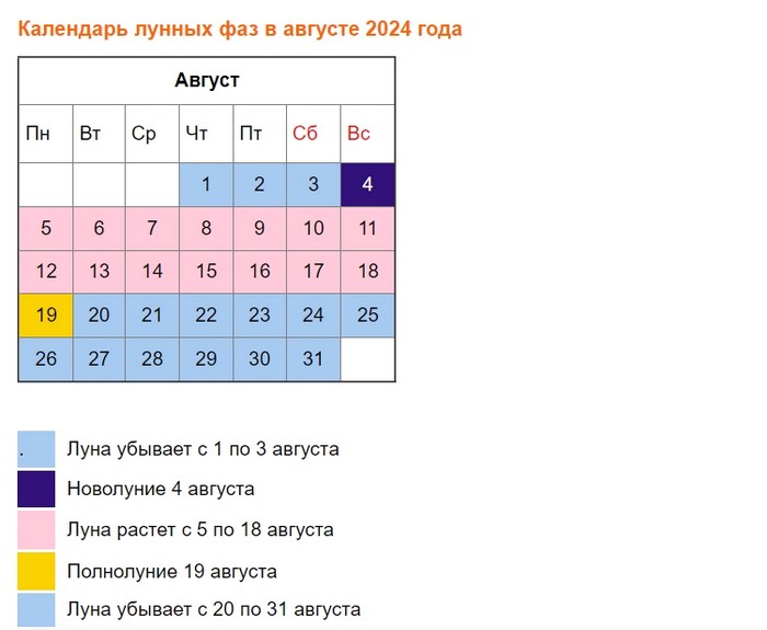 Що посадити у серпні 2024 року