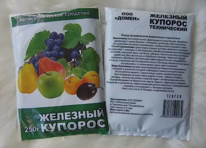 Хлороз винограду