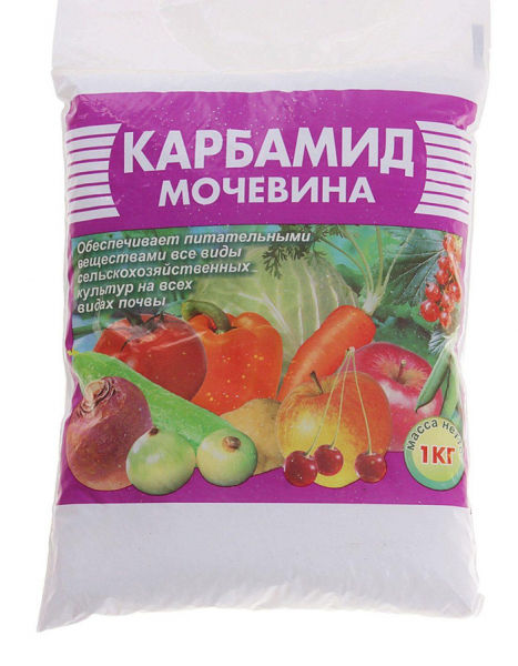 Картопля Вега (40 фото) &ndash; опис сорту, переваги, характеристики