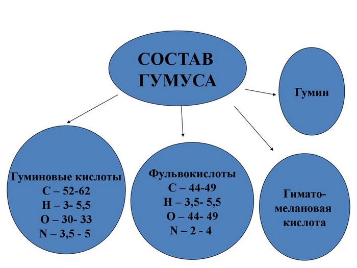 Що таке гумус, його властивості, типи, вміст у ґрунті