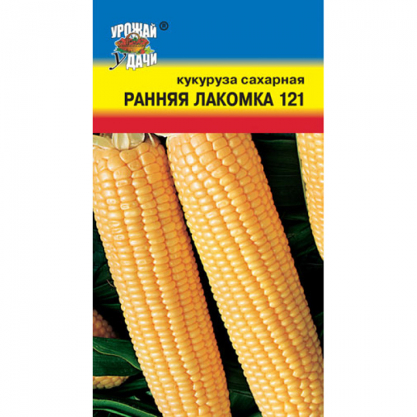 Сорти кукурудзи &ndash; 42 найкращі сорти кукурудзи 2024 з описом та фото