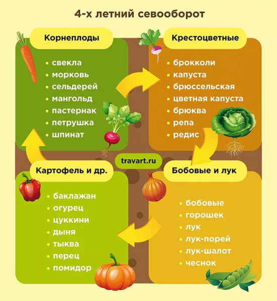 Добрива восени під перекопування &ndash; які і як вносити