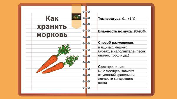 Як зберігати моркву &mdash; 20 ефективних способів