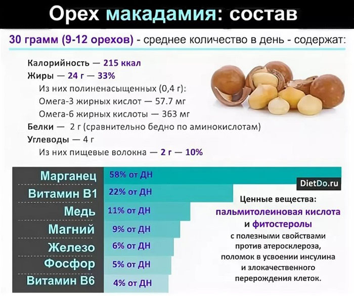 Горіх макадамія – як і де росте, користь для організму