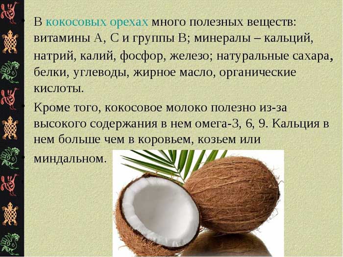 Де і як ростуть кокоси (40 фото), сорти, смак, вирощування та застосування