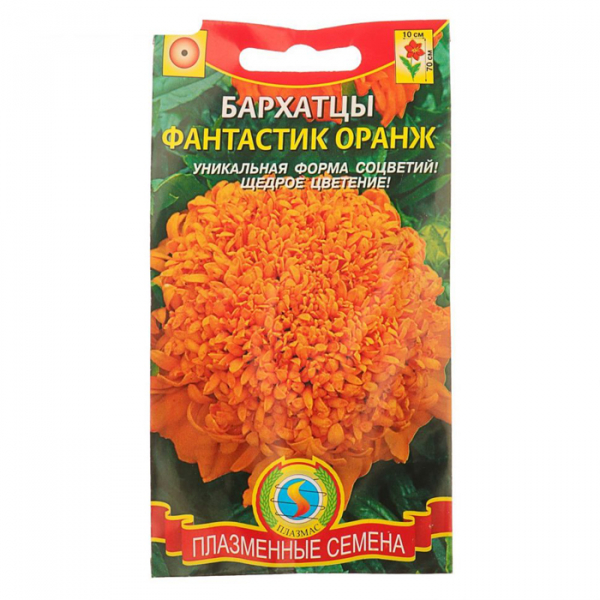 Чорнобривці (70 фото) — сорти, вирощування та догляд за найкориснішою квіткою
