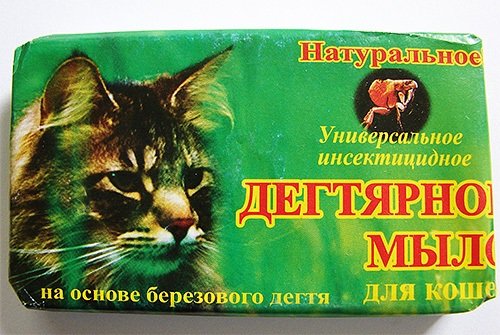 15 народних засобів у боротьбі з бліхами