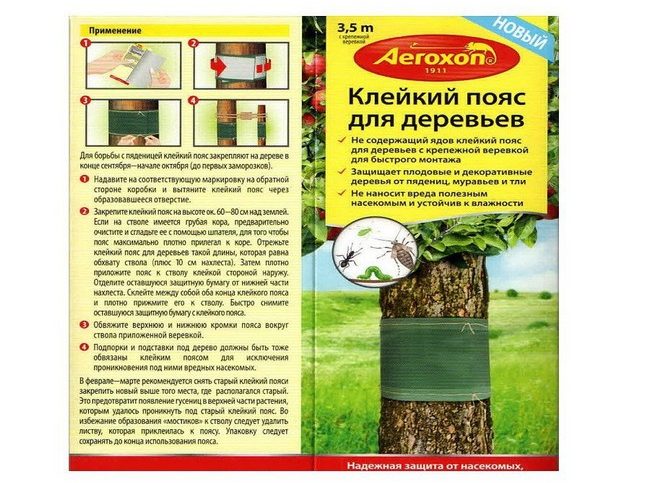 15 способів, як позбутися садових мурах