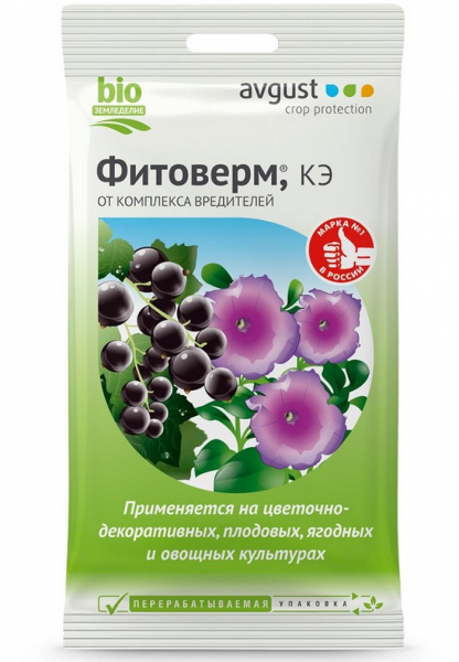 Крупа кіноа &ndash; що це? Від А до Я про кіноа: вирощування, користь, як готувати (30 фото)
