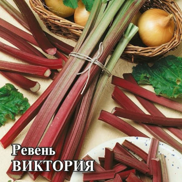 Ревень від А до Я: сорти, посадка, вирощування ревеню та догляд