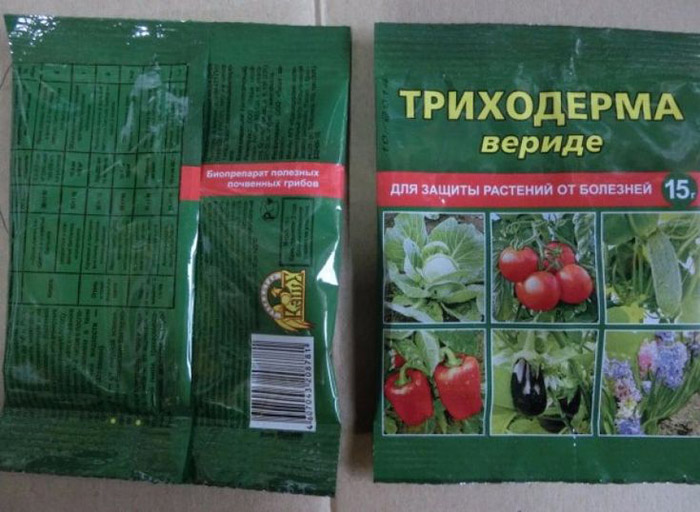 Помилкова борошниста роса (пероноспороз) огірків &ndash; заходи боротьби (25 засобів)