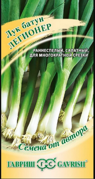 Лук-батун: коли і як висаджувати для багатого врожаю