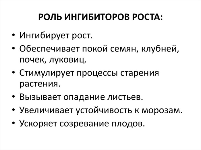Стратифікація насіння в домашніх умовах: 4 найкращі способи