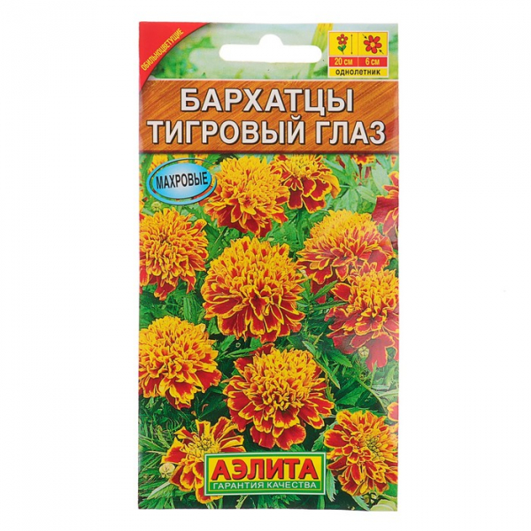 Чорнобривці (70 фото) — сорти, вирощування та догляд за найкориснішою квіткою