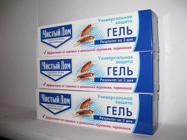 15 найкращих коштів від мурах у квартирі