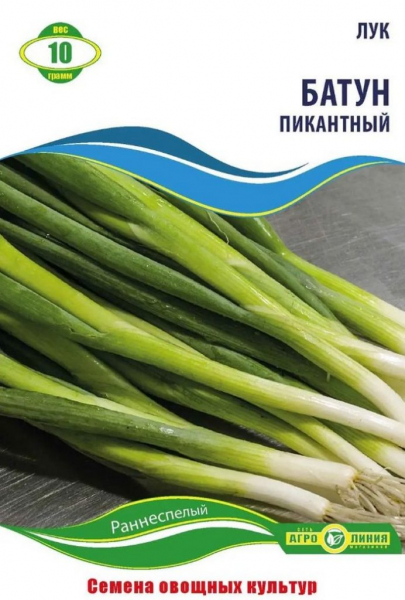 Лук-батун: коли і як висаджувати для багатого врожаю