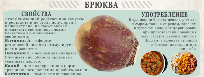 Бруква &ndash; що це за овоч, його корисні властивості. Вирощування брукви