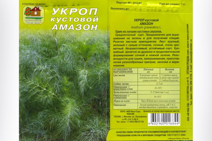 Сорти кропу &ndash; 25 найкращих сортів з фото та описом