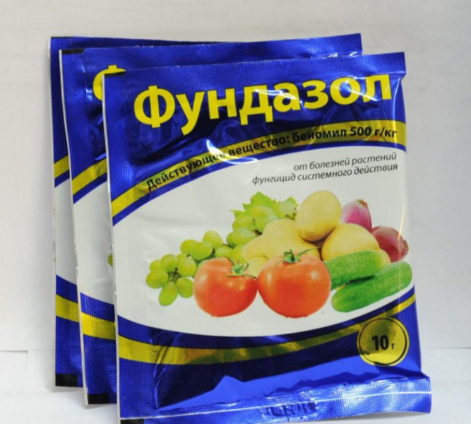 37 хвороб томатів з фото та описом + лікування