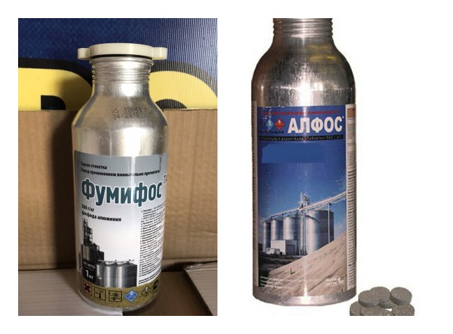 Чим цькувати щурів та мишей у домашніх умовах