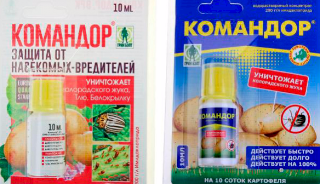 Як боротися з попелицею на калині