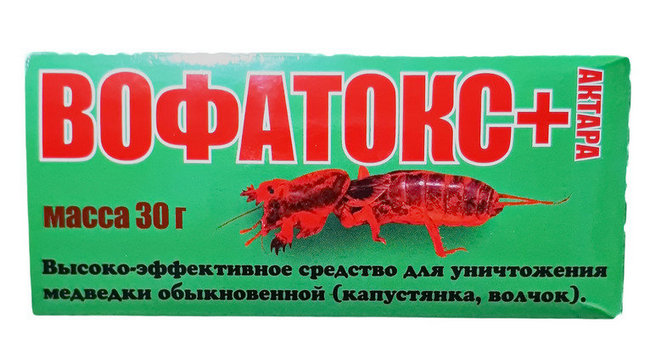 Боротьба з попелицею на городі спеціальними та народними засобами