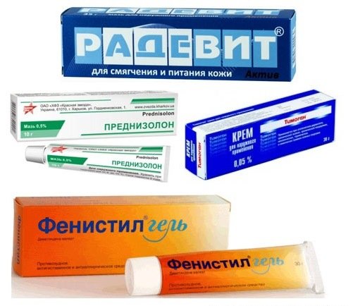 Надання допомоги при укусі оси