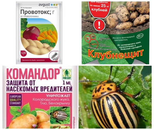 Препарат &laquo;Табу&raquo; проти колорадського жука та дротяника