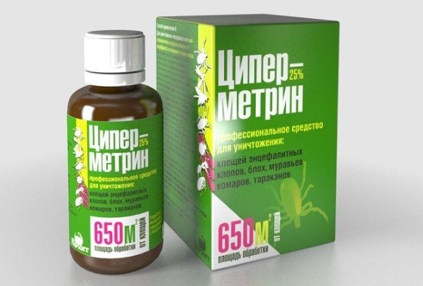 Дезінфекція будинку від клопів та як її виконувати
