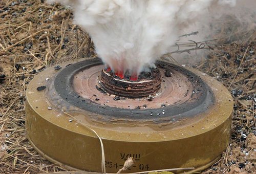 Димові шашки для знищення тарганів