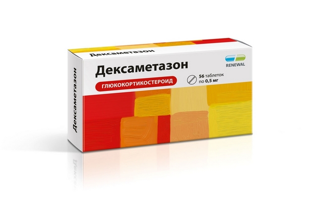 Що робити, якщо собаку вкусила бджола чи оса